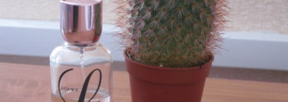 Аромат L Loewe