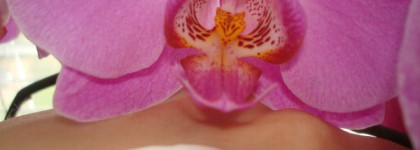 Уход для комбинированной кожи от Origins