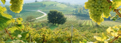 Пусть сладость подождет зимы