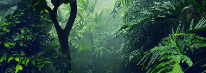 Пусть сладость подождет зимы