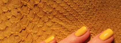 Chanel Le Vernis Nail Mimosa №577