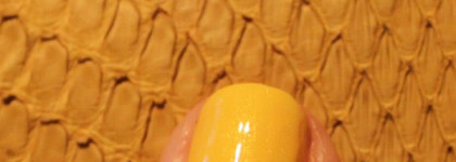 Chanel Le Vernis Nail Mimosa №577