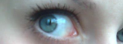 Estee Lauder Projectionist – Тушь, придающая объем и разделяющая ресницы