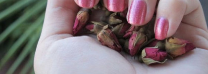 The Face Shop Face It Art Nail Magic Magnet RD301