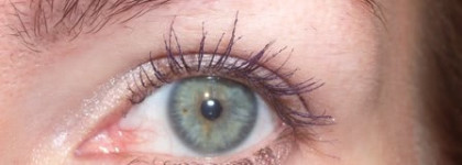 Shiseido The Makeup Eyebrow and Eyeliner Compact – Тени для век и бровей