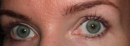 Shiseido The Makeup Eyebrow and Eyeliner Compact – Тени для век и бровей