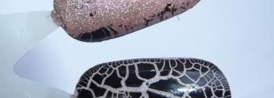 Что за зверь - Barry-M Croc Nail Effects