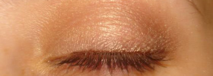 Коричневая подводка ArtDeco