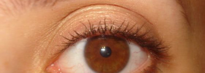 Коричневая подводка ArtDeco