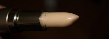 Shiseido The Skincare Protective Lip Conditioner SPF 10 – Защитный бальзам для губ