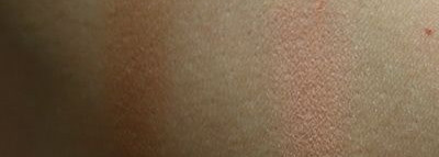 Истина где-то рядом Lumene Natural Code Skin Perfector Mineral Bronze & Blush