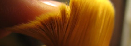 Мои скромные 6 кисточек