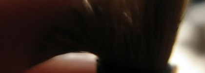 Мои скромные 6 кисточек