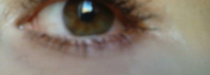 Обзор моих тушей