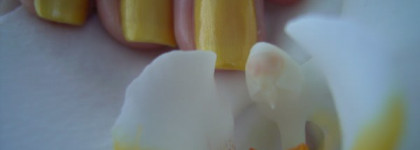 Солнечный малыш Orly Hook UP 48639