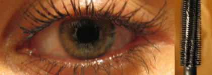 Dior & Estee Lauder & Kanebo