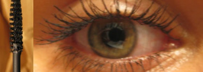 Dior & Estee Lauder & Kanebo