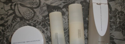 Kenzoki. Впечатления