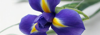 Dior: большой красивый уход