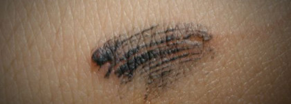 Мои подарочки: Тушь, блеск и тени :) свотчи