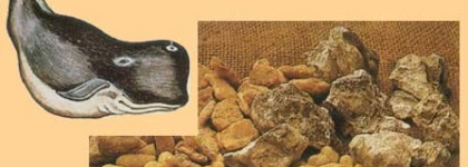 Comme des Garcons Series 3 Incense: Jaisalmer