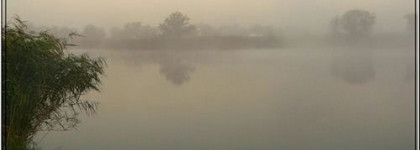 Утро туманное