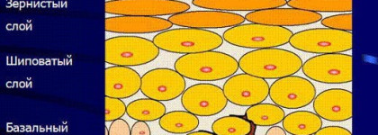 Использование гидроксикислот в регулярном уходе за кожей