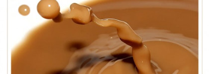 Губная помада Perfect Rouge № ВЕ109 от Shiseido