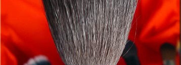 Мои бюджетные пушистые помощники  (лицо)