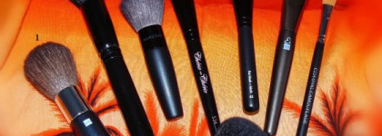 Мои бюджетные пушистые помощники  (лицо)