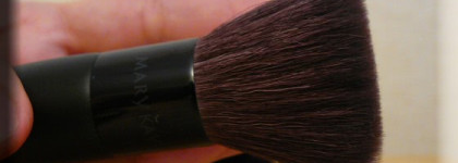 Мои бюджетные пушистые помощники  (лицо)