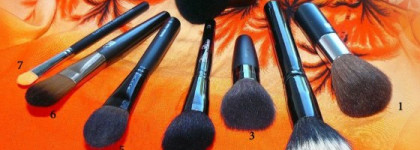 Мои бюджетные пушистые помощники  (лицо)