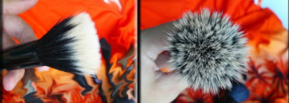 Мои бюджетные пушистые помощники  (лицо)