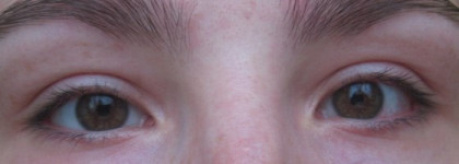 Обзор тушей