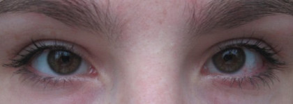 Обзор тушей