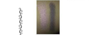 Dior Двухцветные тени для век 2 Couleurs и L'Oreal Подводка для глаз Super Liner