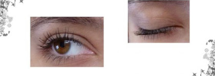 Много-много туши