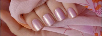 Крокусы из под снега. Sophin #178