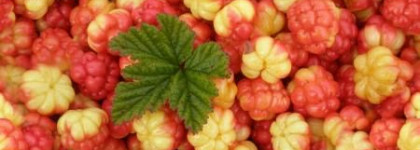 Уход от Lumene