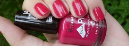 Яркая ягода или Rimmel Lycra Pro # 296 Guest star