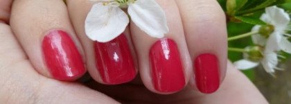 Яркая ягода или Rimmel Lycra Pro # 296 Guest star