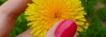 Яркая ягода или Rimmel Lycra Pro # 296 Guest star