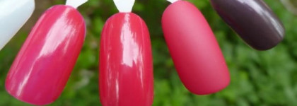 Яркая ягода или Rimmel Lycra Pro # 296 Guest star