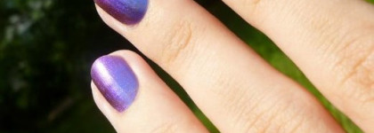 Aurelia Professional #404. Мой первый хамелеон