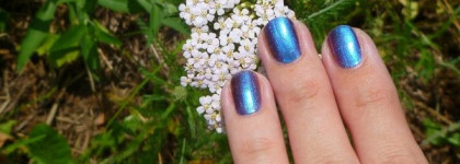 Aurelia Professional #404. Мой первый хамелеон