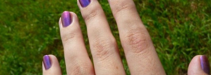 Aurelia Professional #404. Мой первый хамелеон