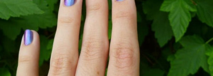 Aurelia Professional #404. Мой первый хамелеон