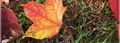 Обновленные лаки Essence в двойном маникюре