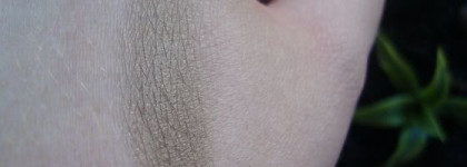 Dior 1 Couleur (Powder mono eyeshadow) - Одноцветные тени для век, оттенок 475 Khakis