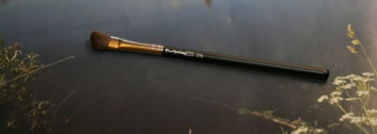 Мои кисточки для рисования лица